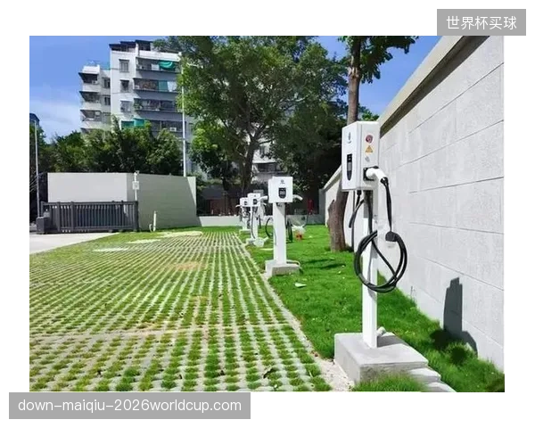 盲目铺设的快充桩阵列在比赛日沦为燃油车抢占的角斗场